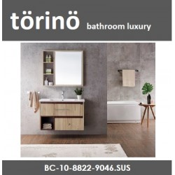 Basin Cabinet Fully Stainless Steel BC-10-8822-9046.SUS